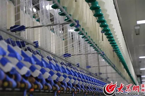 萬錠用工僅10人，魏橋紡織引領全球智能化變革驚艷網絡媒體